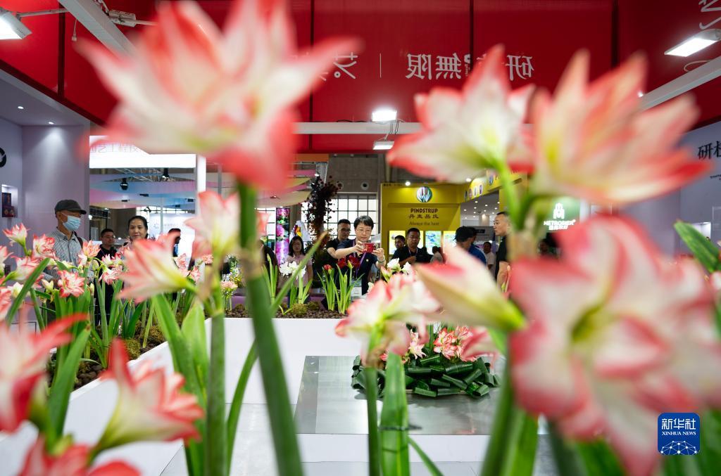 打牌网下载链接